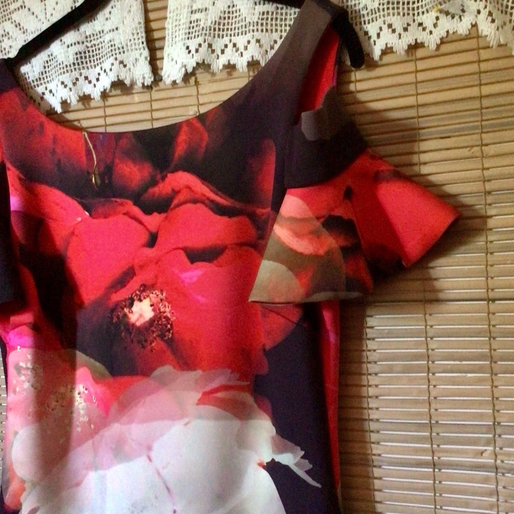 Frank Lyman NWT water color floral print, lovely dress - Picture 2 of 16